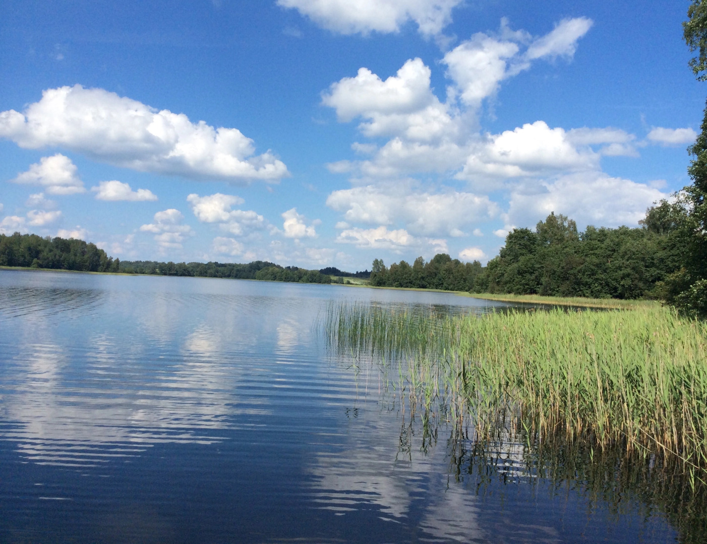 Бунгало Изба на Опушке. Хутор Пралище