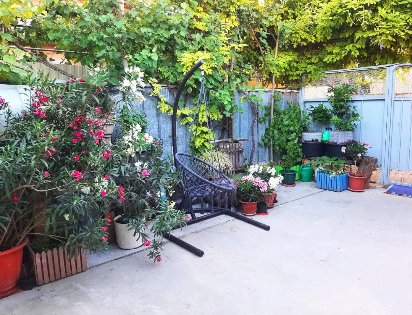 Гостевой дом Тенистый дворик