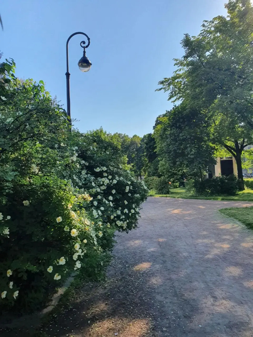 Отель Северный Ветер