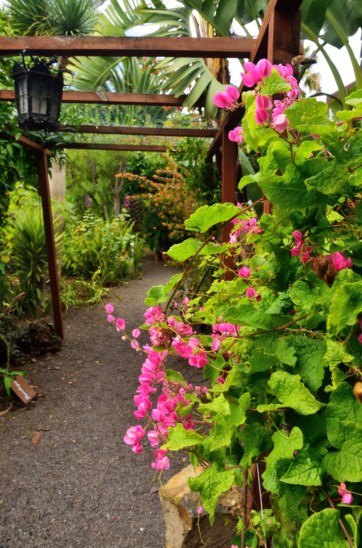 Adjovimar Apartments