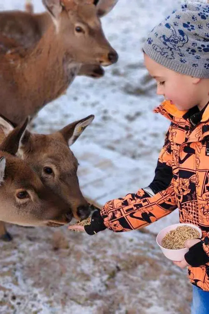 Гостевой дом Бэмби Лэнд
