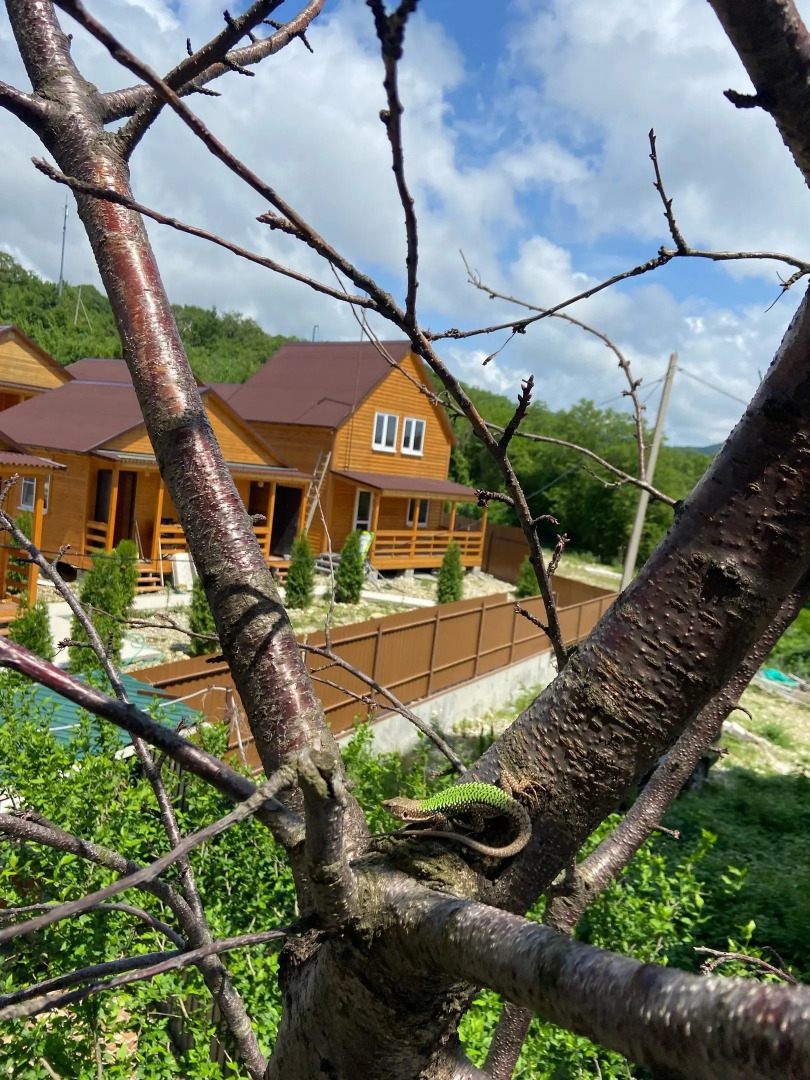 Гостевой дом Дельфин на Приморской