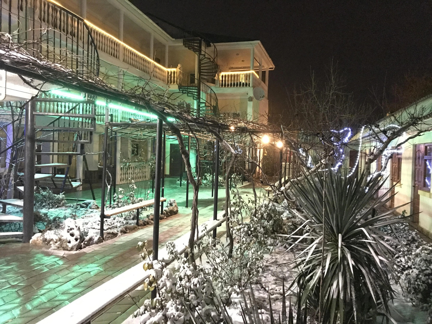 Меблированные комнаты У Чижика