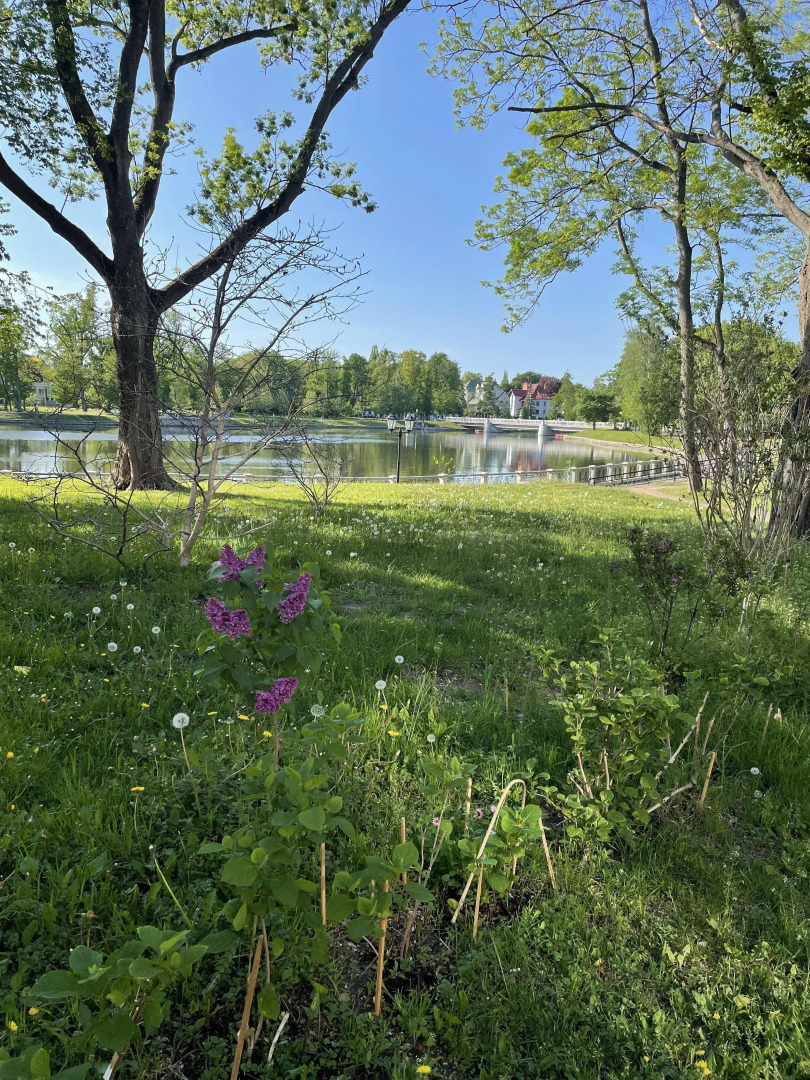 Апартаменты Квартира-студия