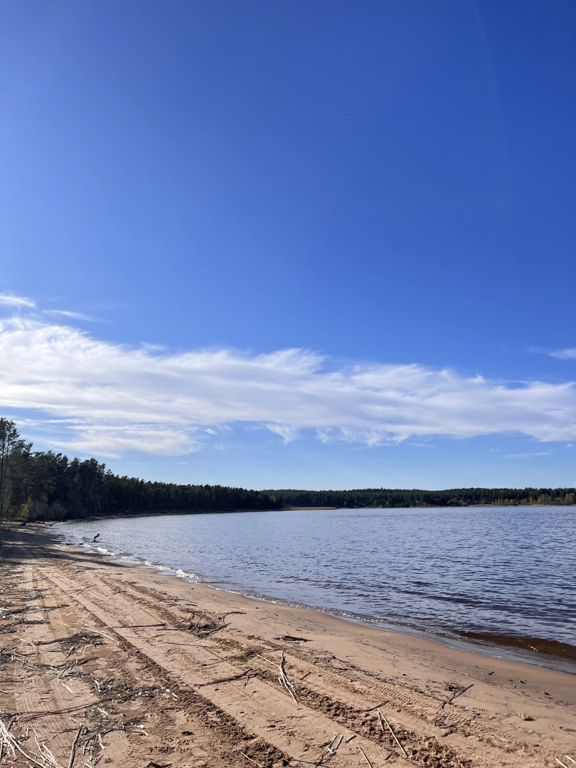 Частный дом в соснах