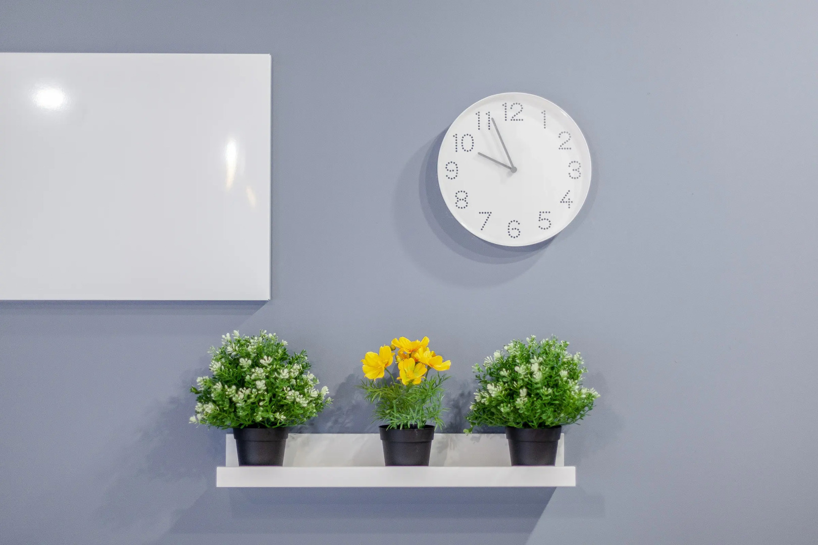 Апартаменты Папай и Оливия