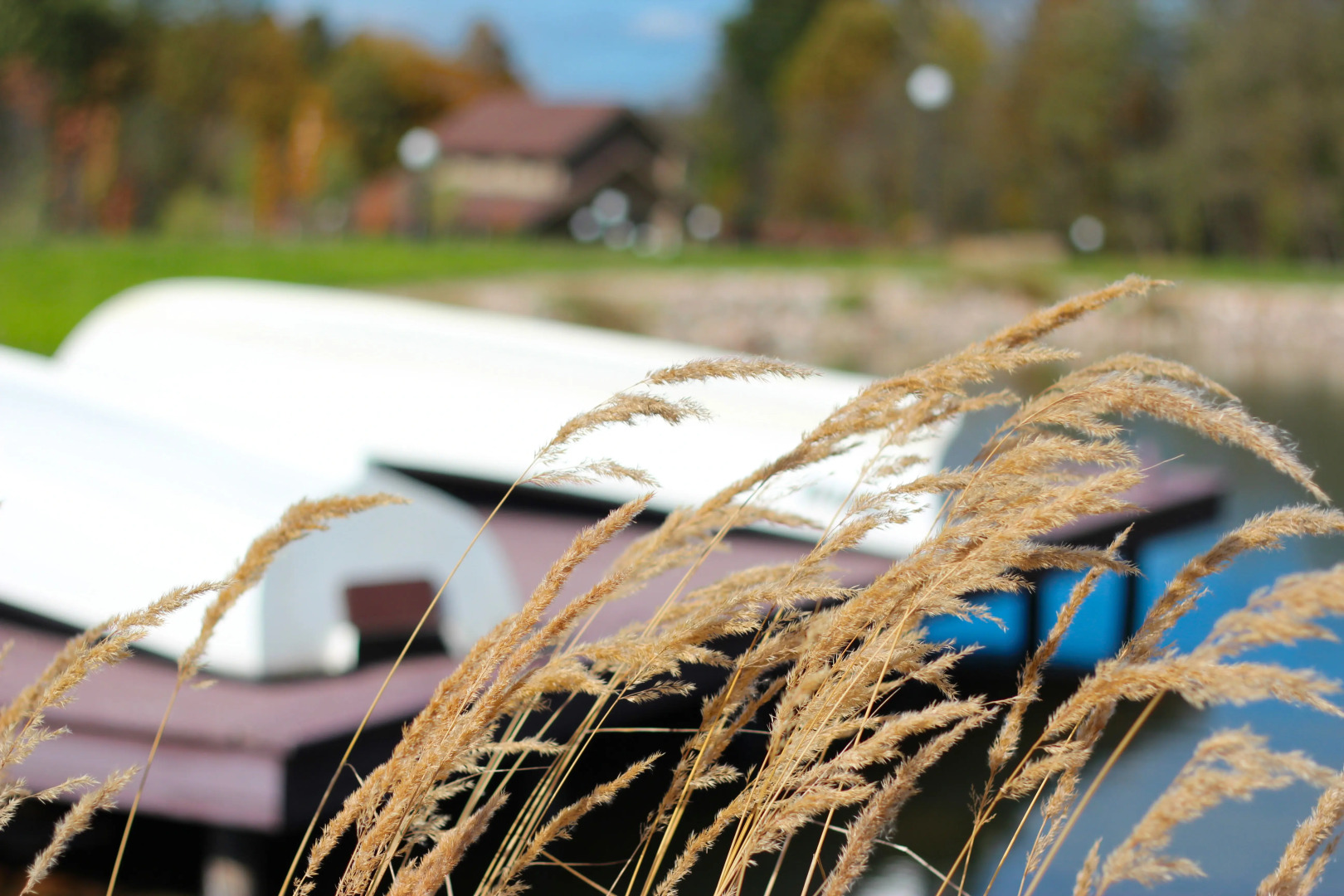 Отель Лепота