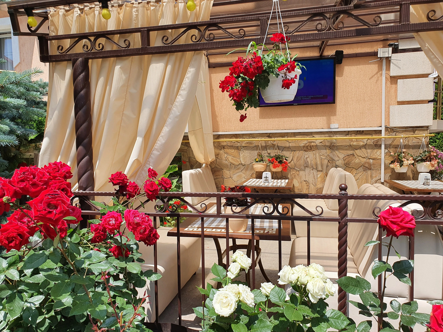 Отель Энигма