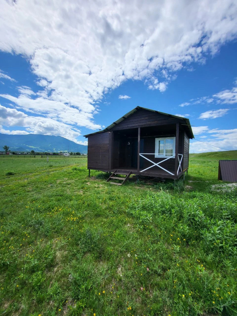 Глэмпинг Ёжкины Дачи Алтай
