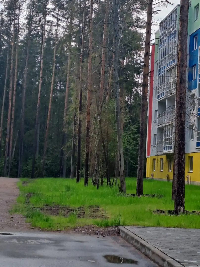 Квартира Студия на 2 этаже