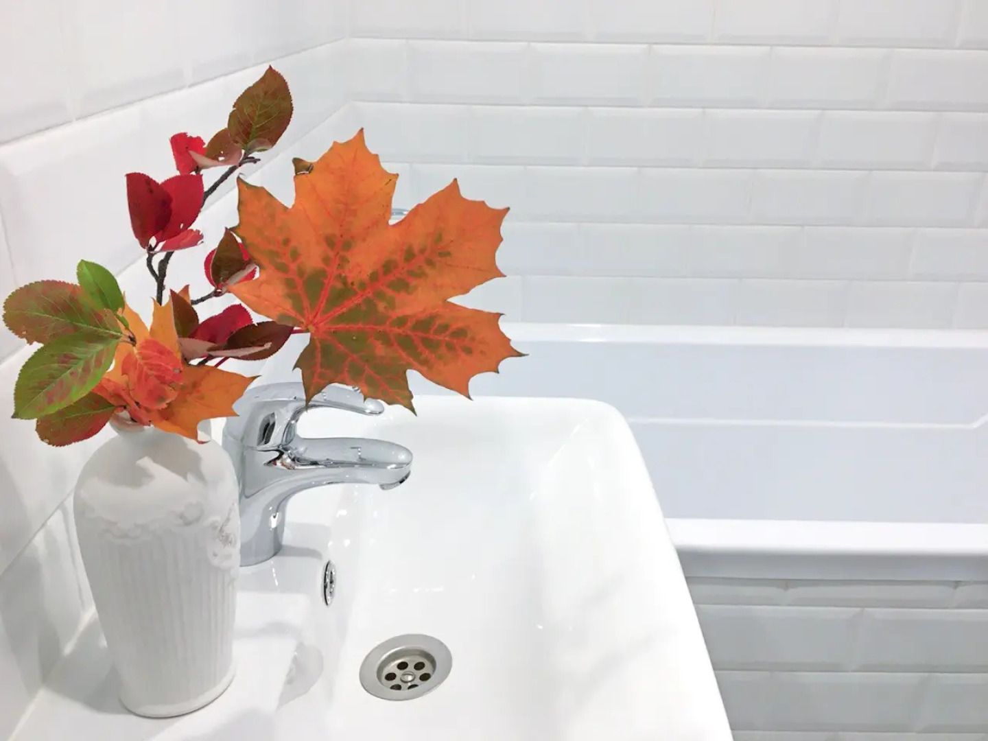 Студия с балконом Карельский Лось