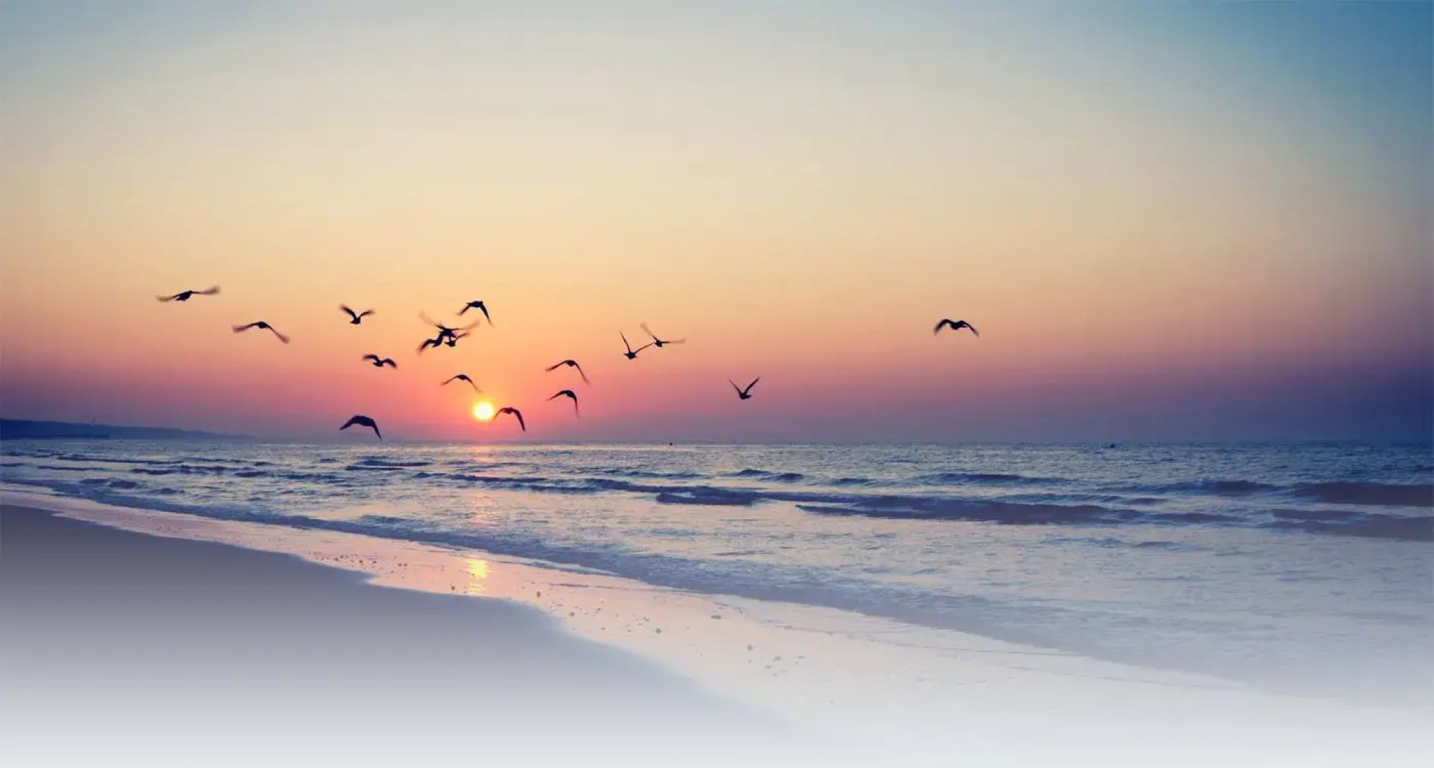 Отель The Cox Today