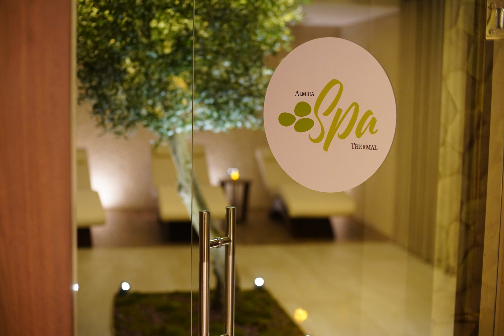 Отель Almira Thermal Spa & Convention Center