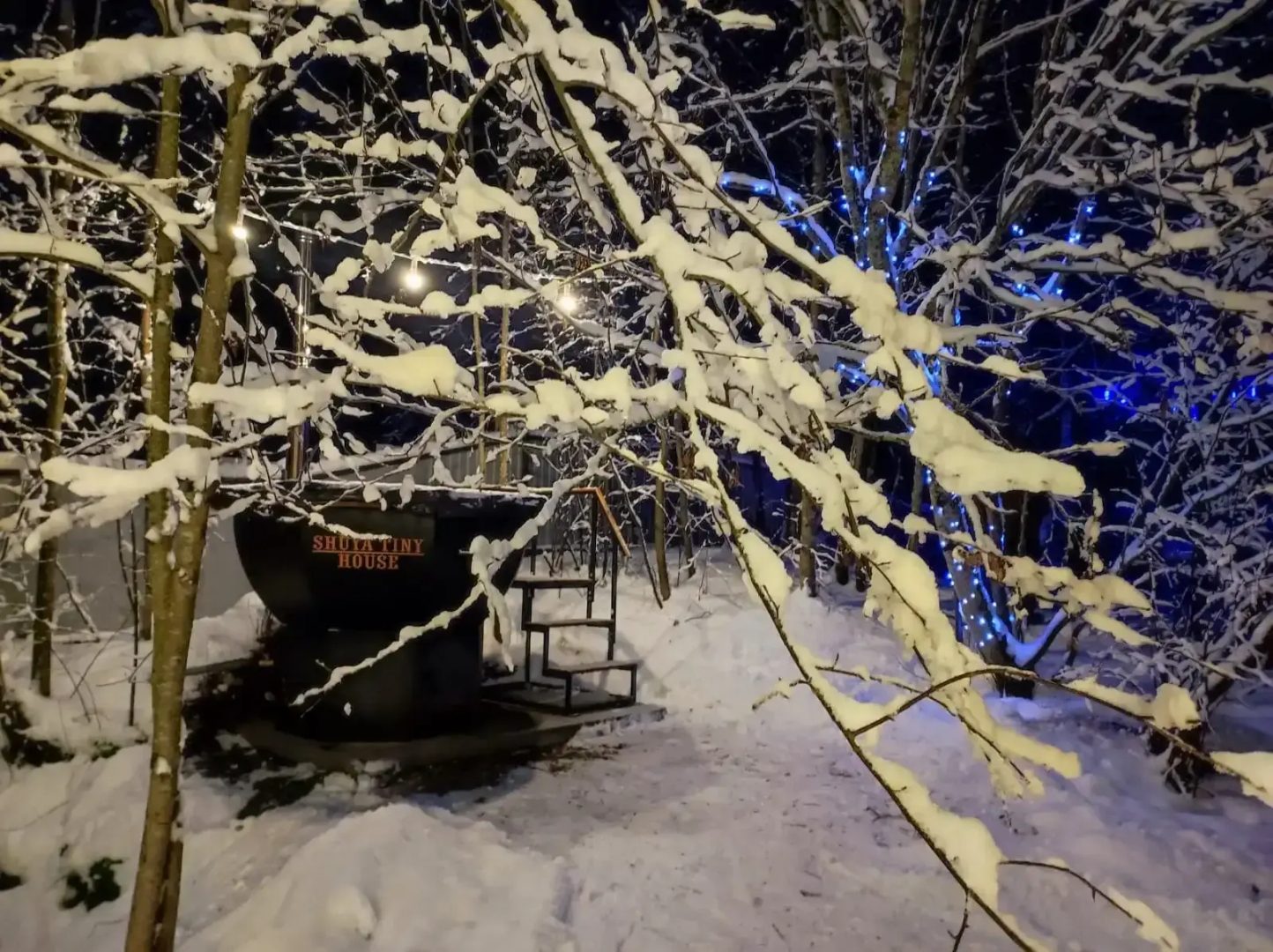 Гостевой Дом Shuya Tiny House (4-х Местный)