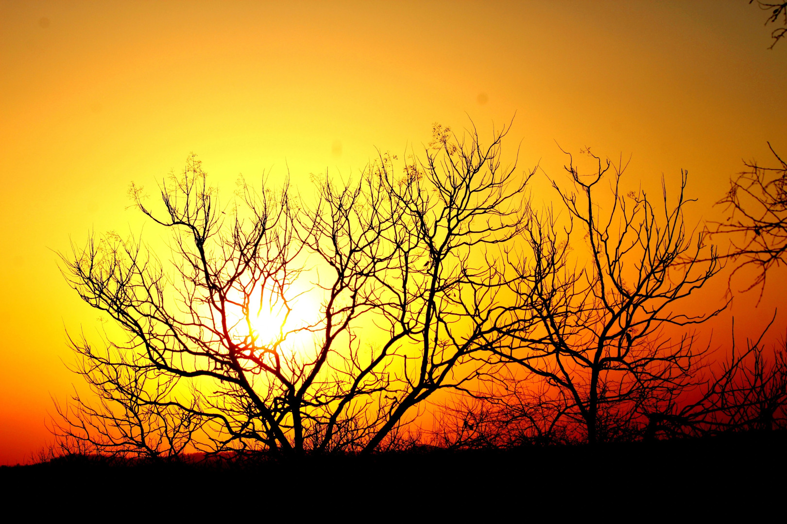 The Wilds Villa Gir - A Riverside Resort Hotel