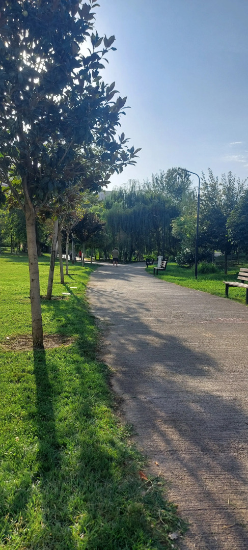 Апартаменты Kiwi