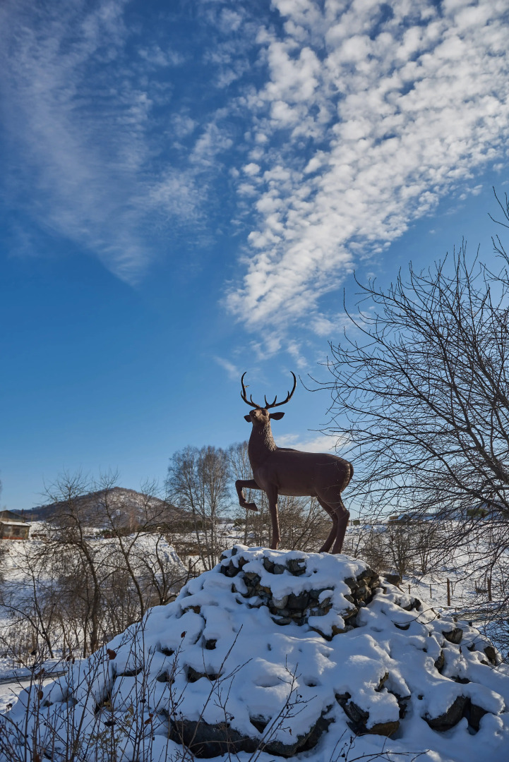 Отель Маральник Altai Palace