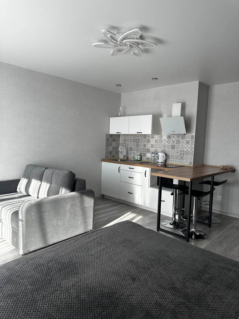 Апартаменты однокомнатны на Толстого