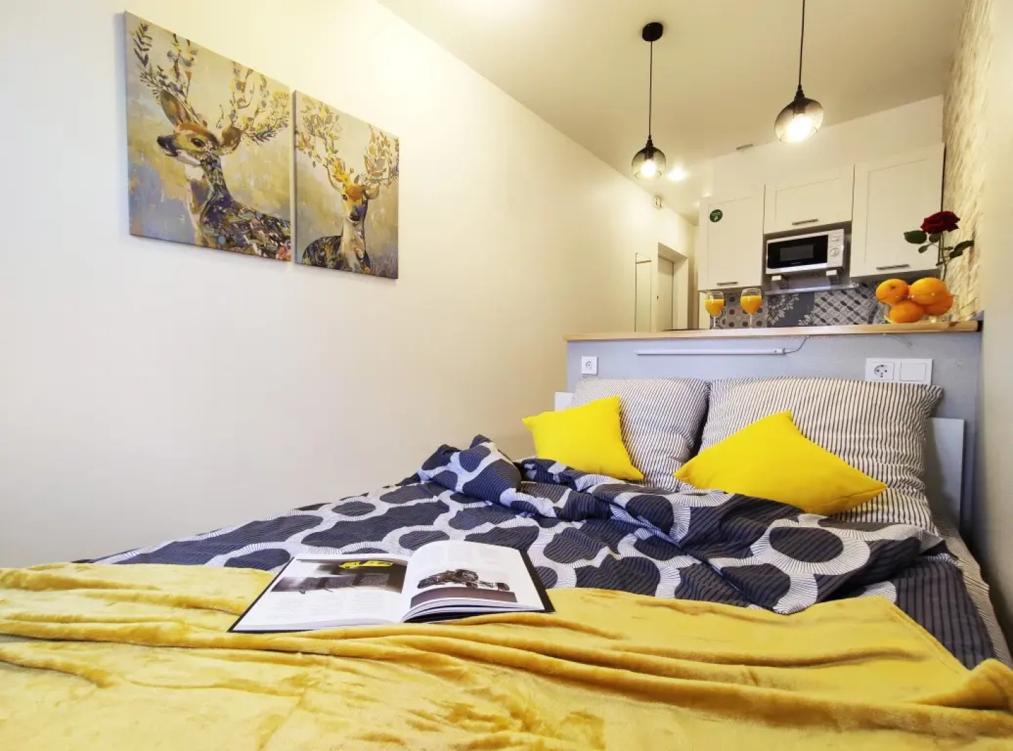 Апартаменты в авторском стиле м.Физтех