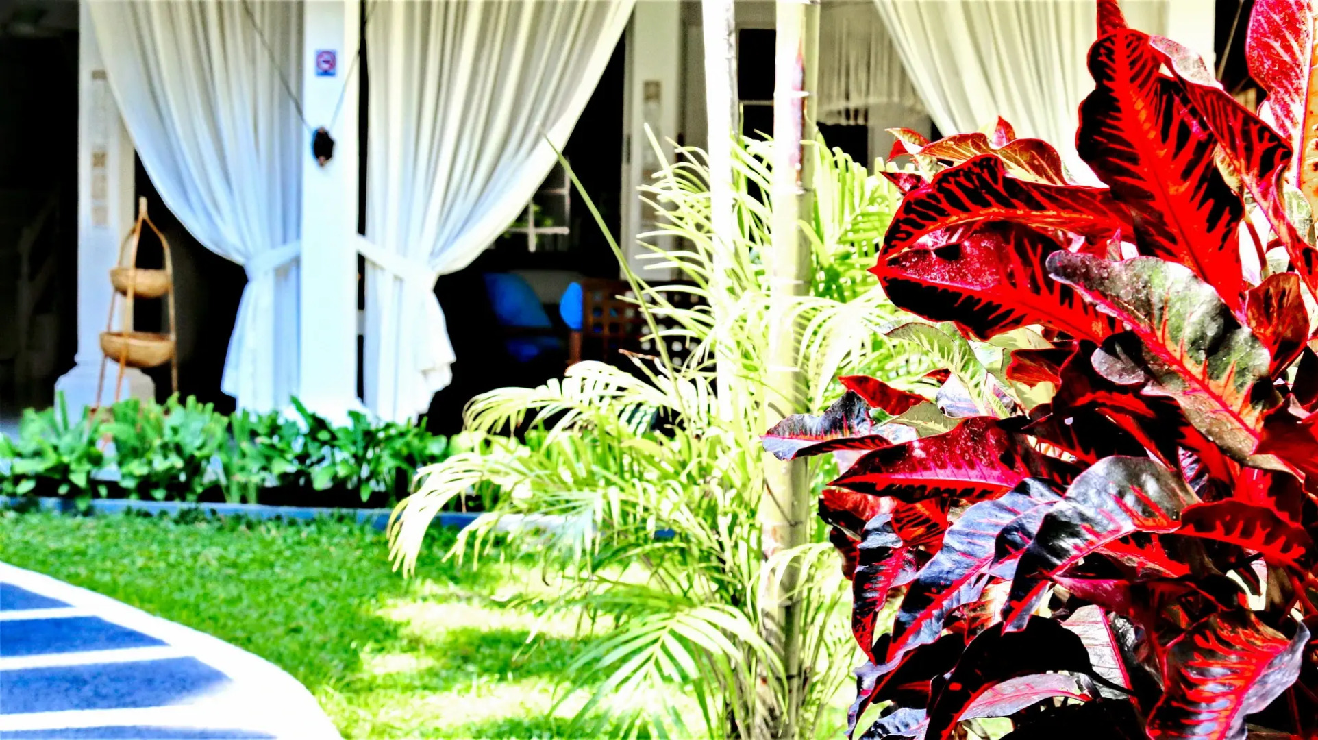 Вилла White 3BR in Seminyak