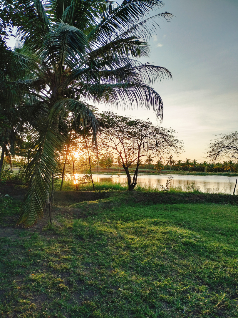 Глэмпинг Harmony Haven in Udawalawe