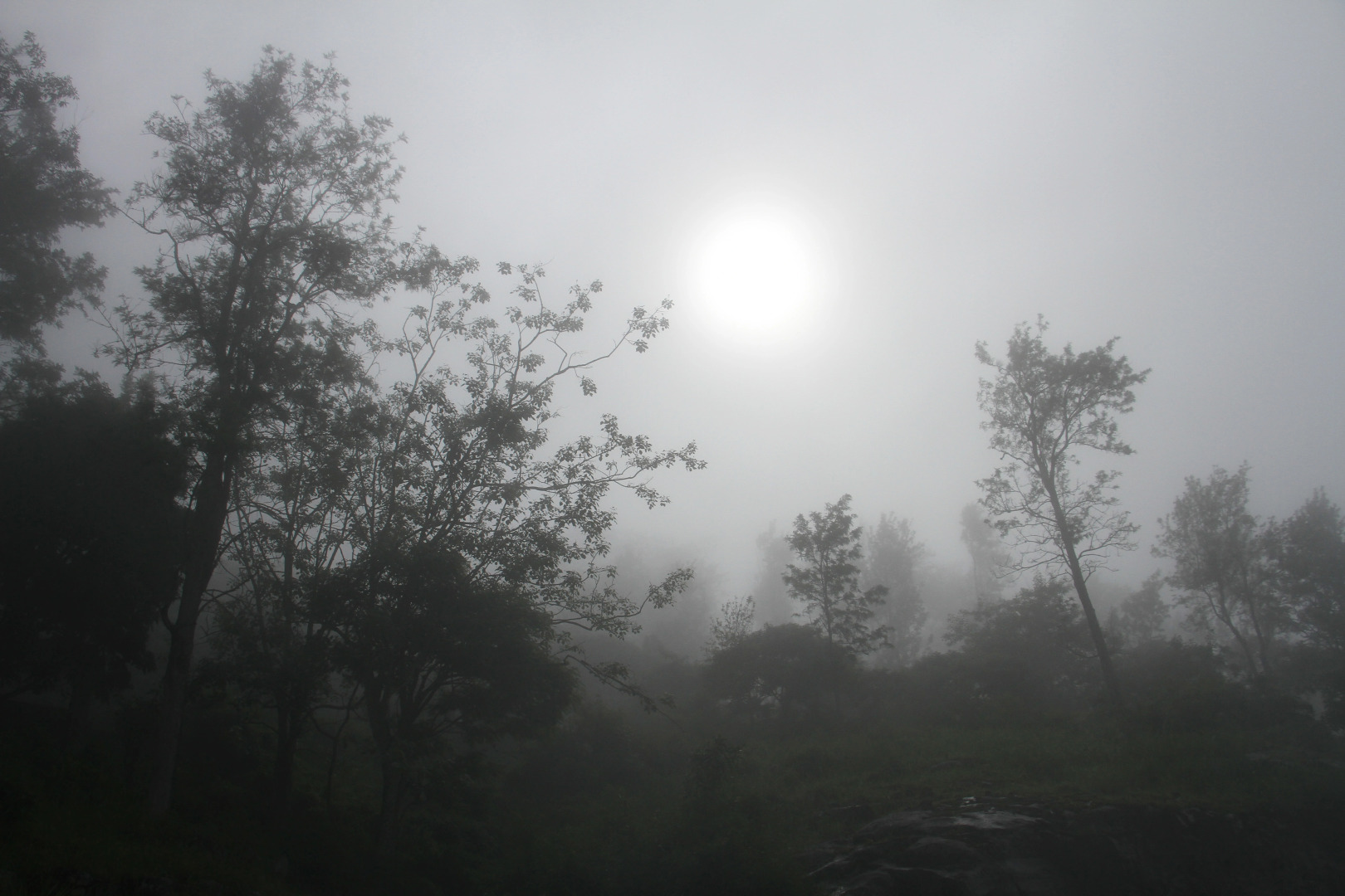 Отель Blackwood