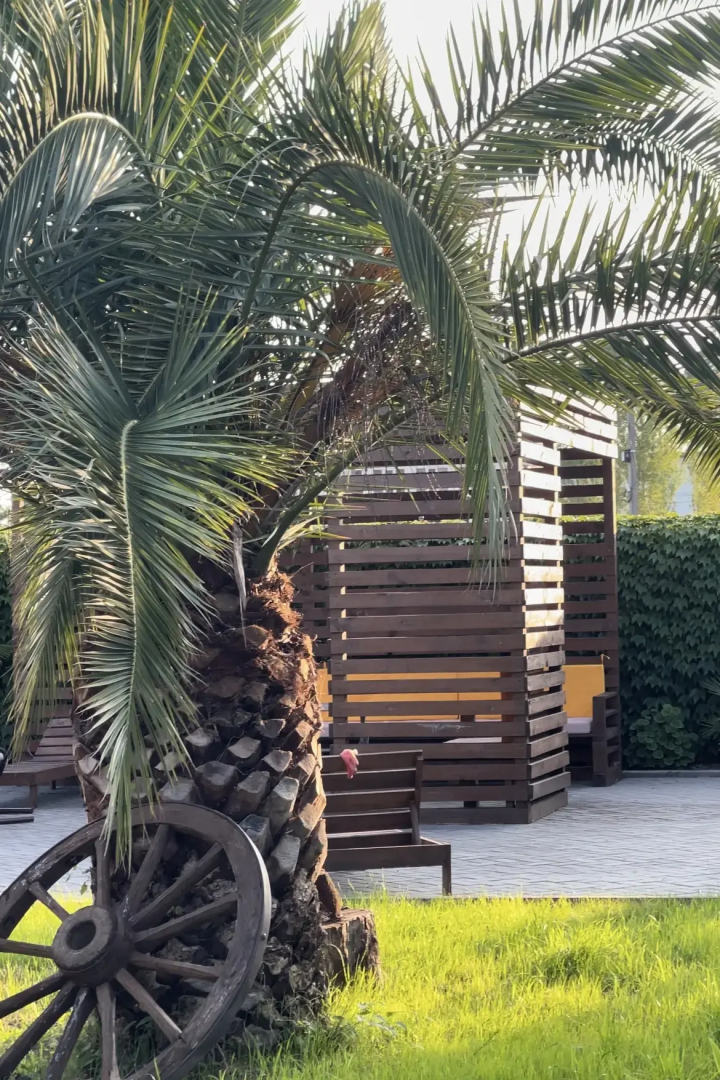 База отдыха Шезлонг