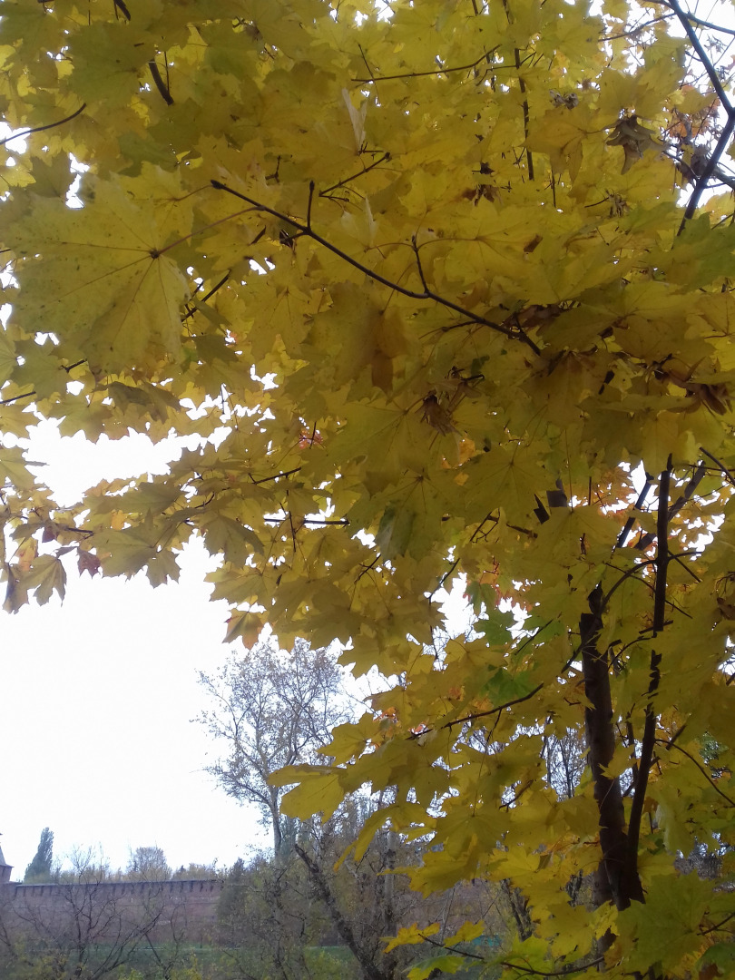 Гостиница У Домика Петра