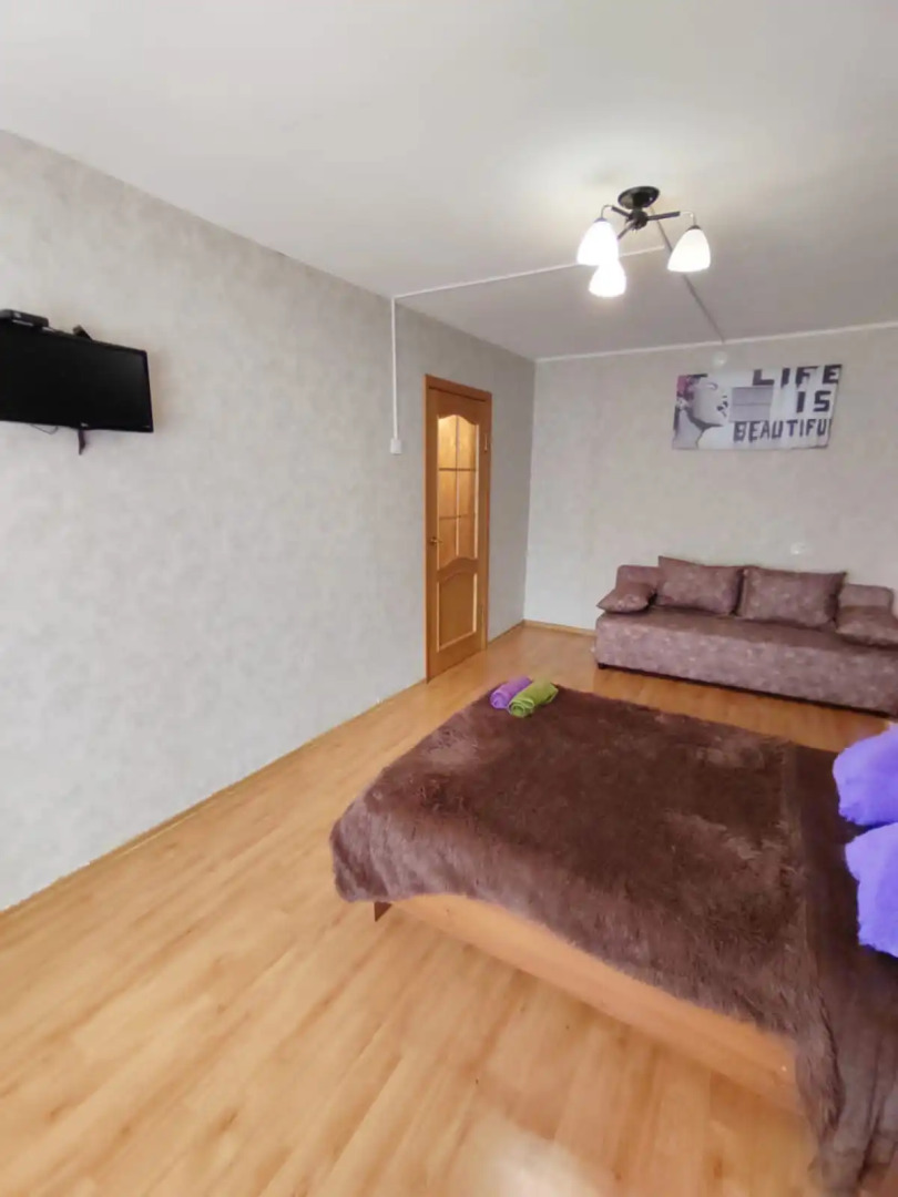 Однокомнатная  квартира на проспекте Победы