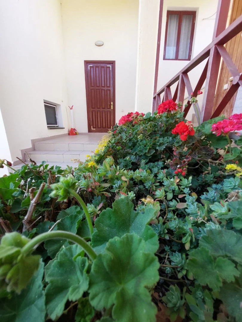 Гостевой Дом Горная Лаванда