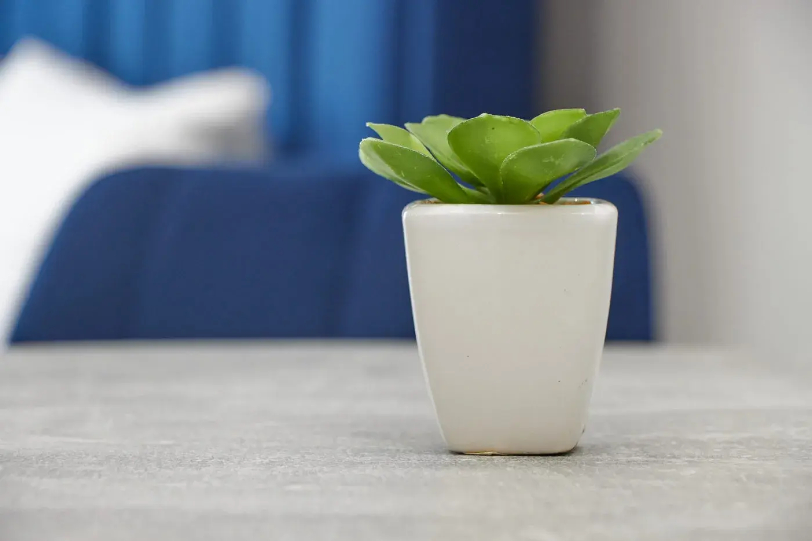 Апартаменты в ЖК Лайнер-Восток с Видом на Город