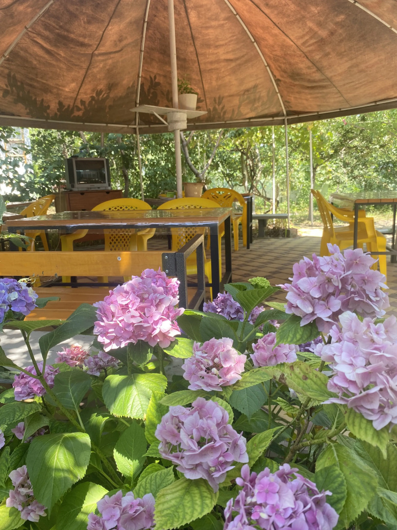 Гостевой Дом Лето Всем