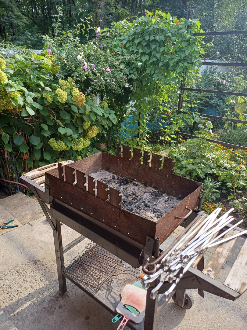 Частный дом в Тишине