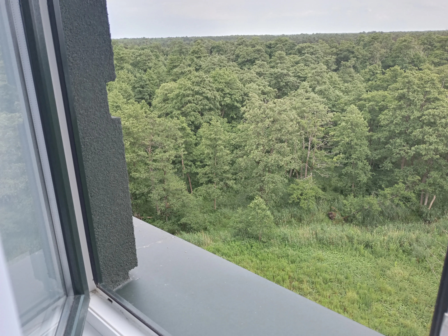 Квартира Двухкомнатная в ЖК Созвездие