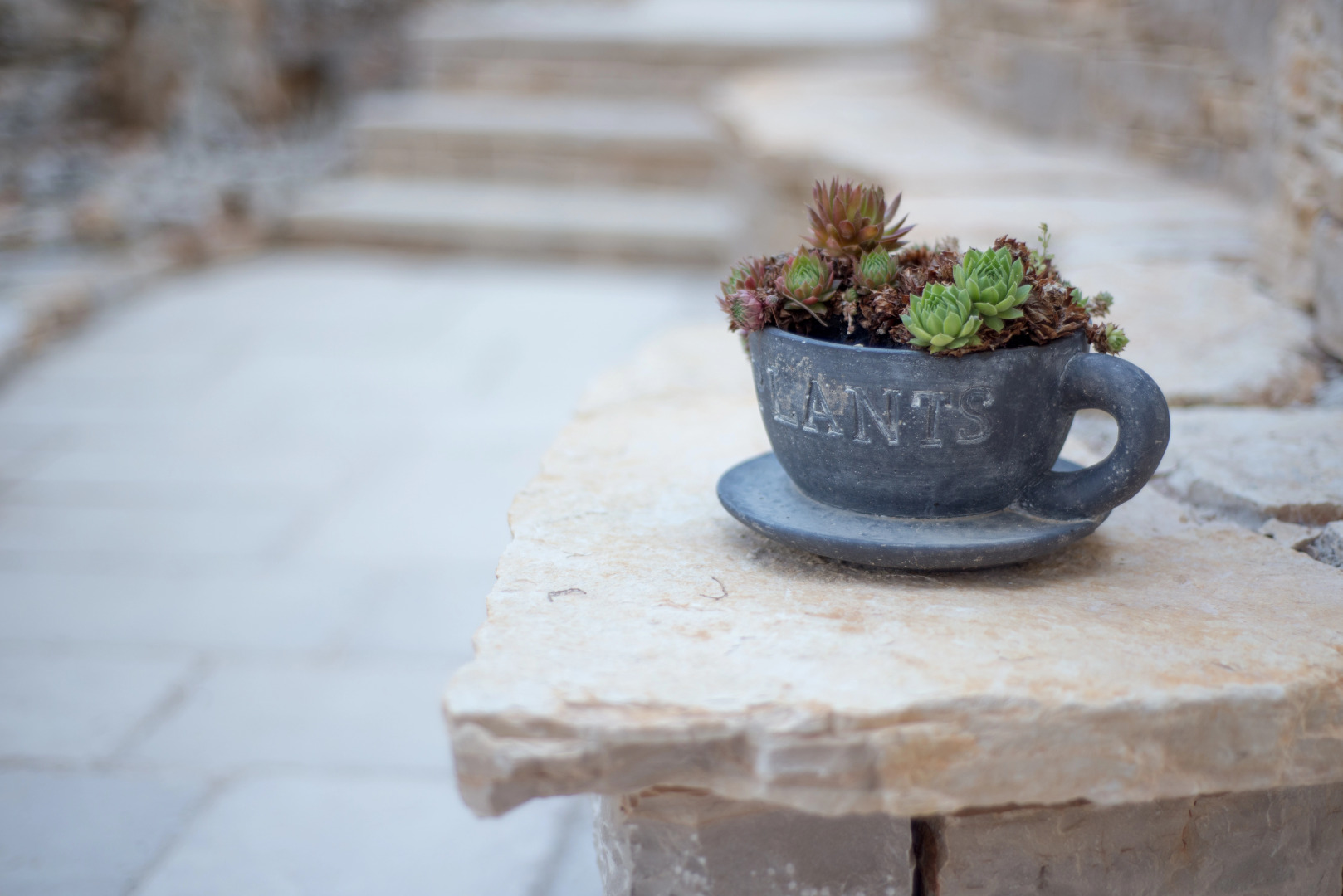 Апартаменты Villa Kos Murter