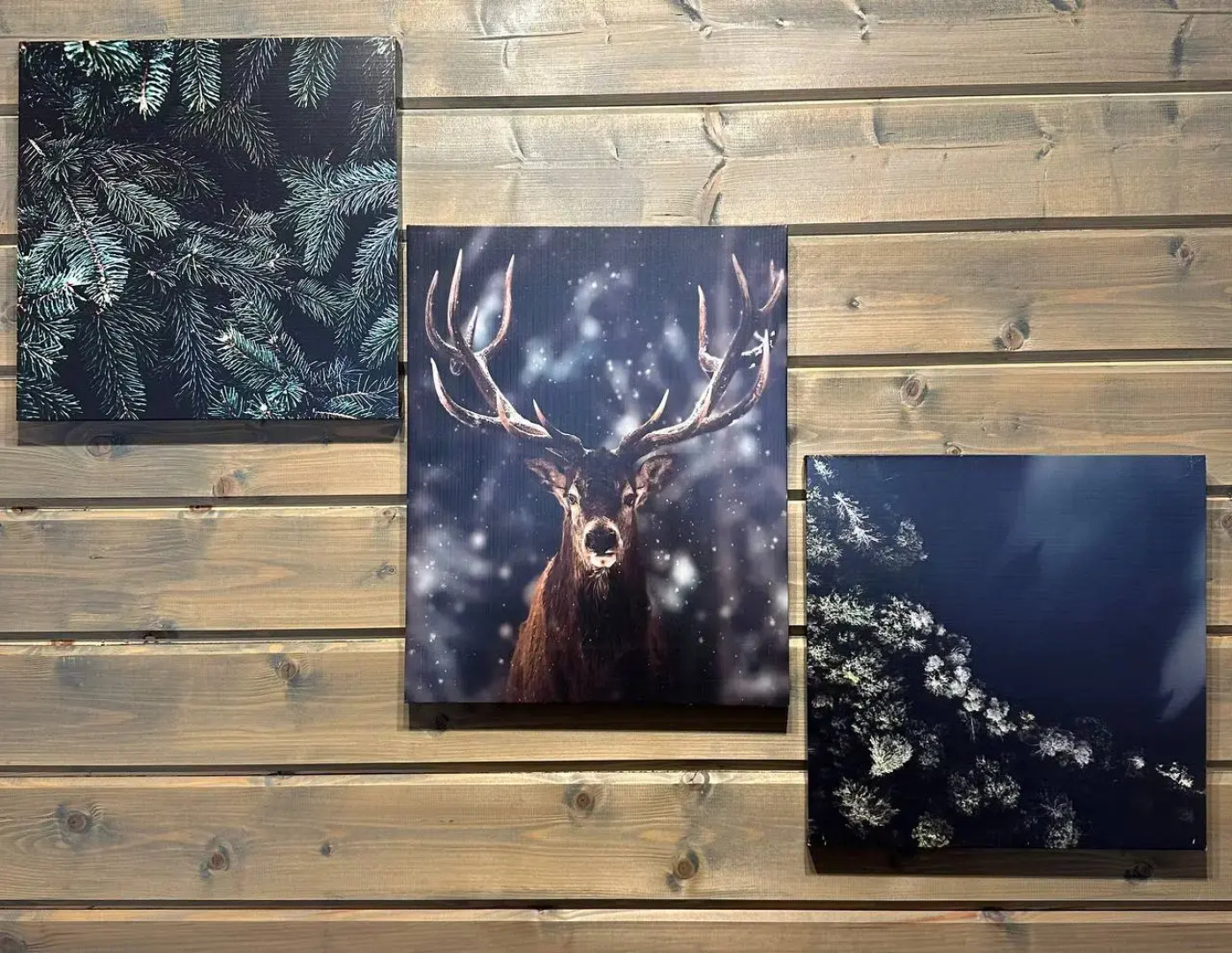 Частный дом Freedom