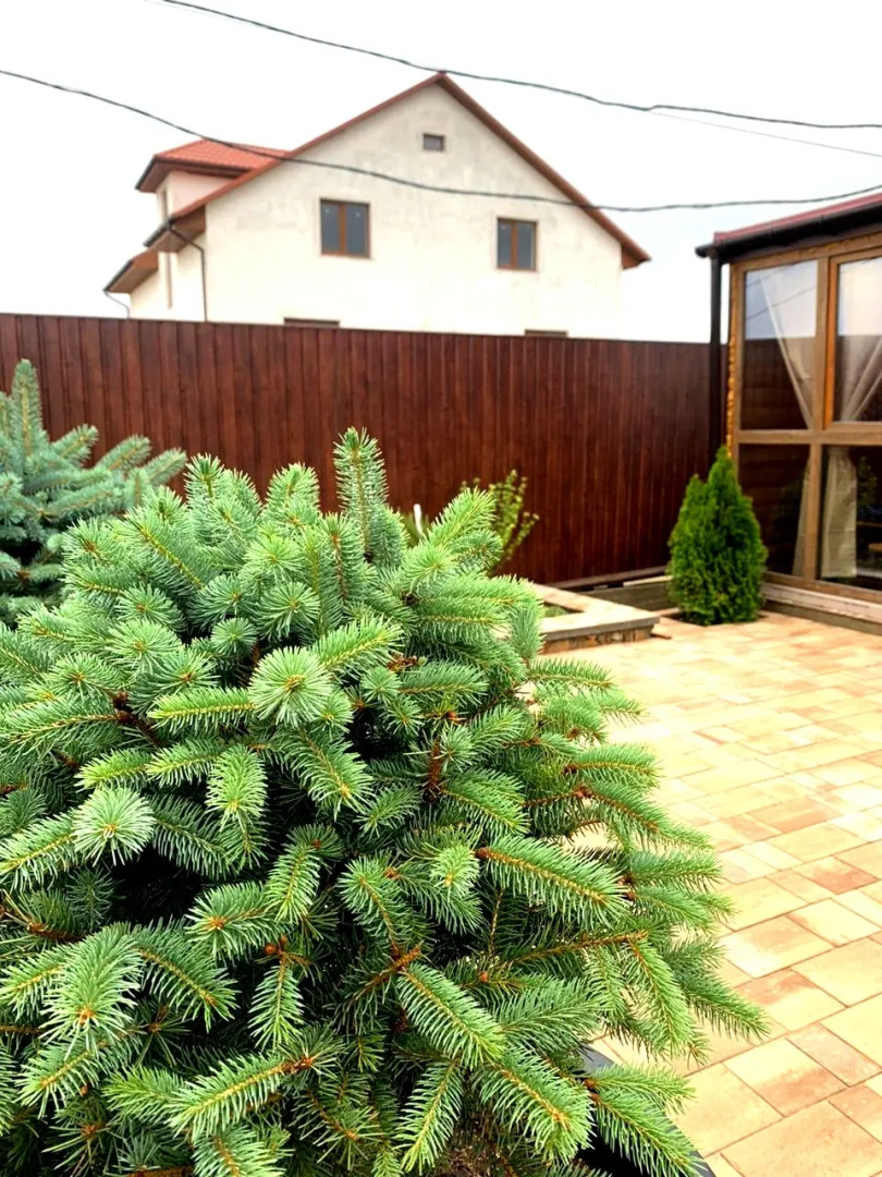 Апартаменты Уютный Бахчисарай