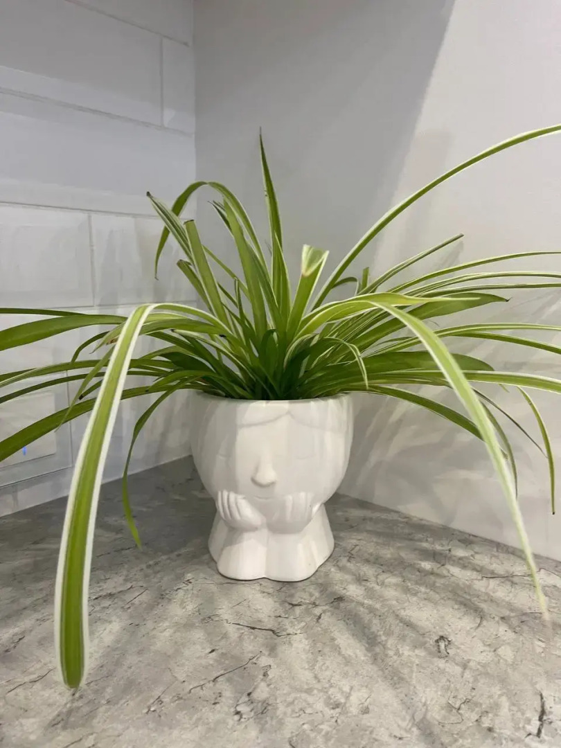 Квартира на Малой Финляндии