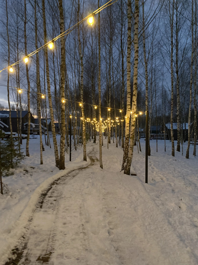 Гостевой дом в Грин Лаундж в окружении леса на берегу Истры