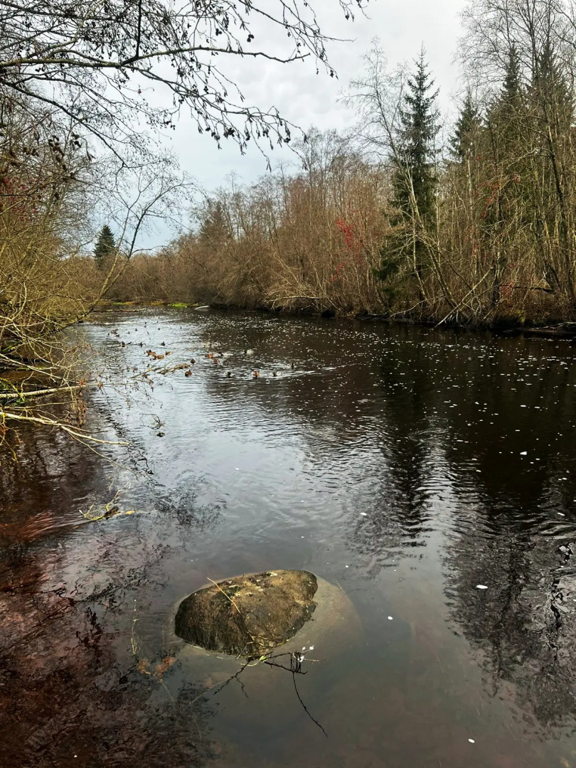 Гостевой дом Пеликан 2