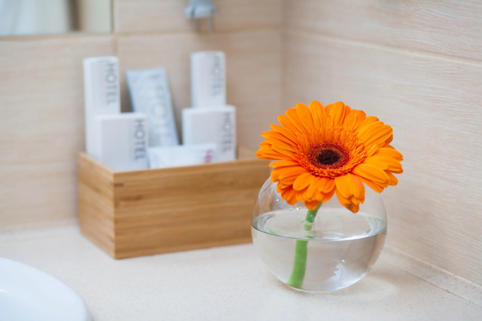 Гостиница Комфорт_Нск