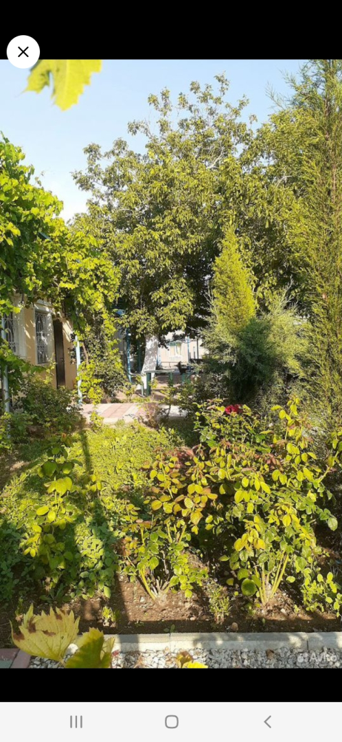 Гостевой дом Морская сказка