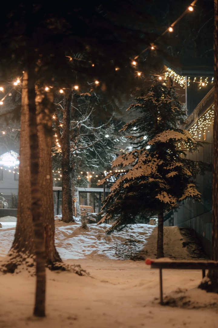 База отдыха Экосфера