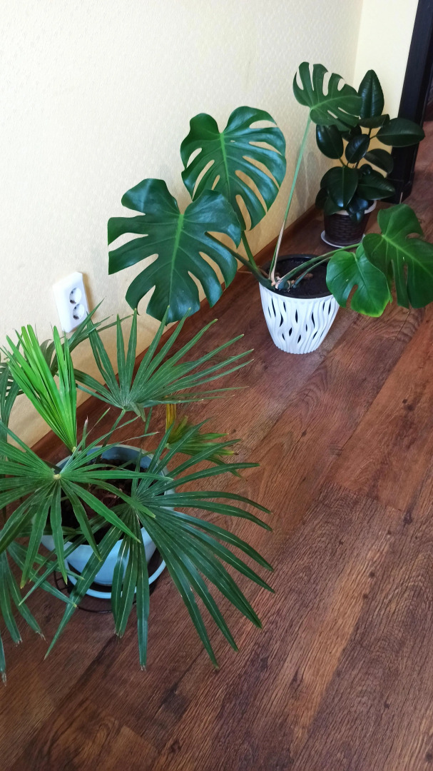 Апартаменты Эко Дом с кондиционером и удобным выездом на М4