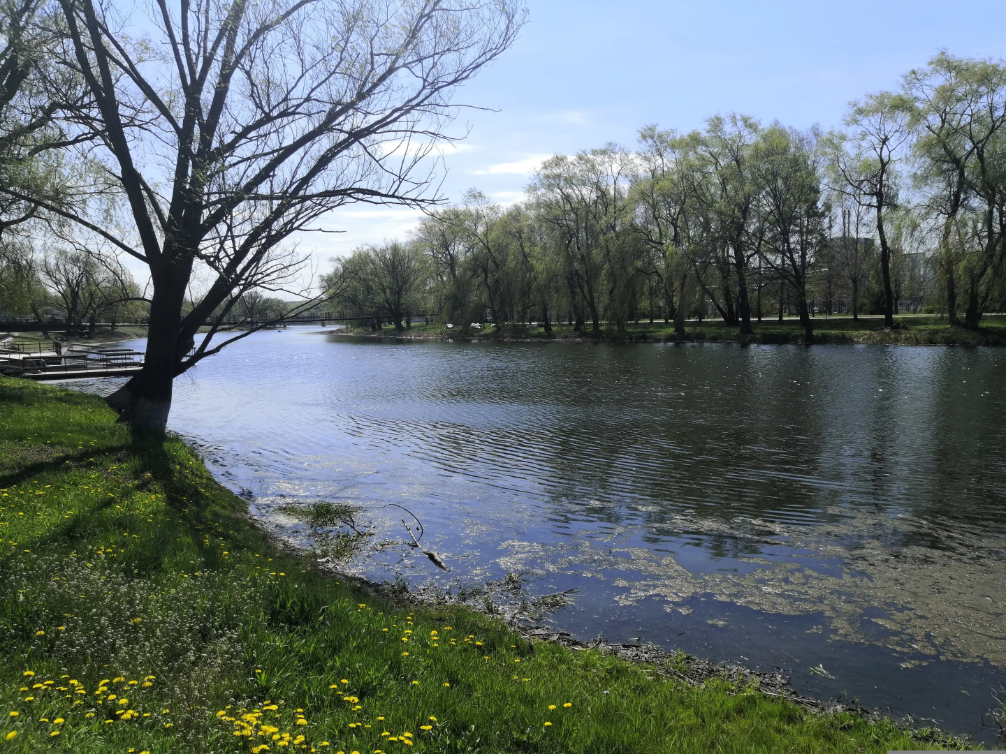 Квартира Комфортная рядом с ЭФКО