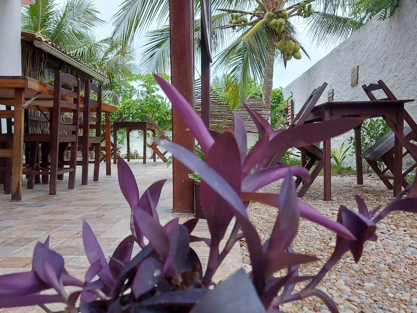 Мини-Отель  Pousada Brisa Del Mar