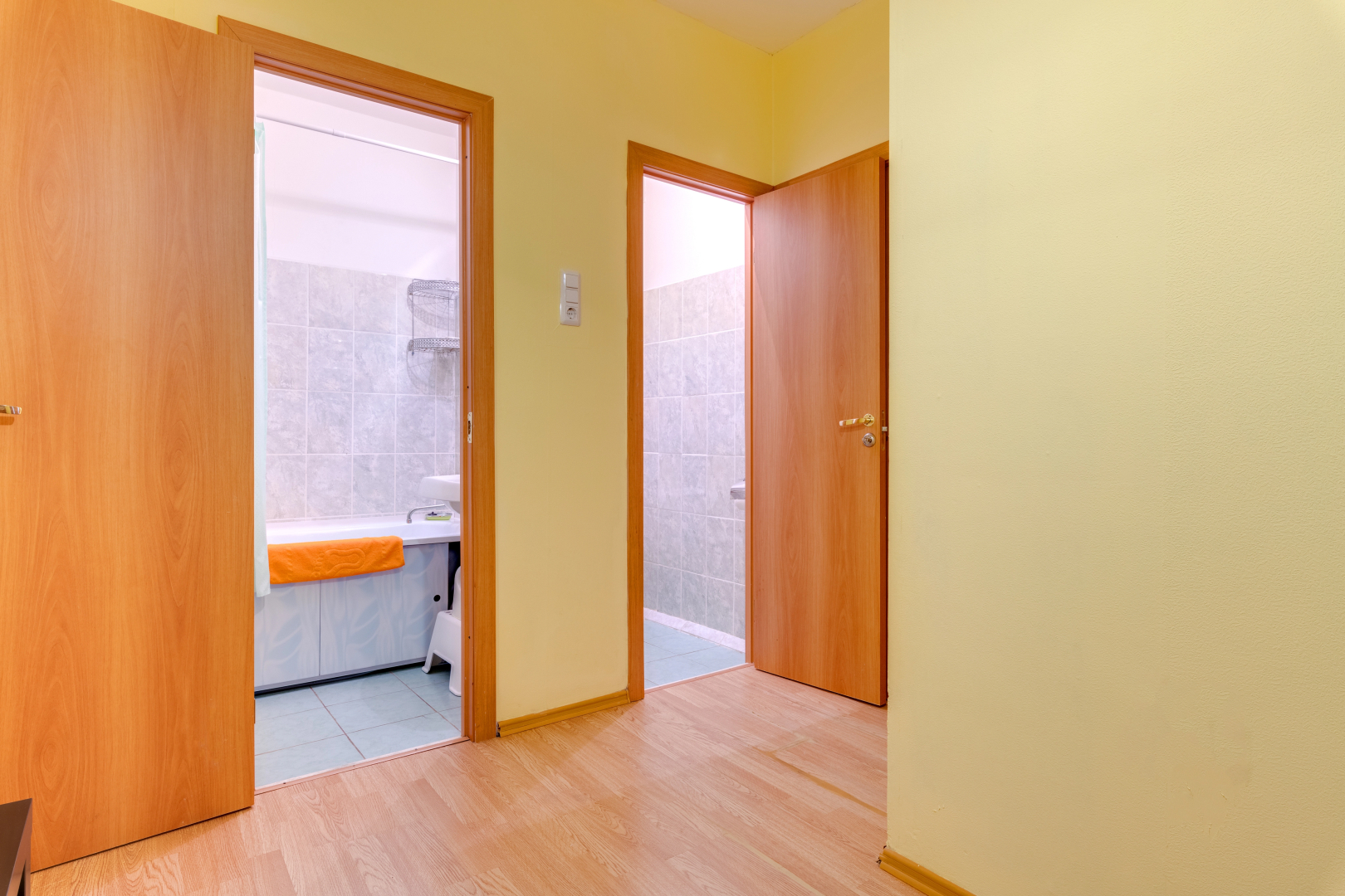 Апартаменты Пушкин