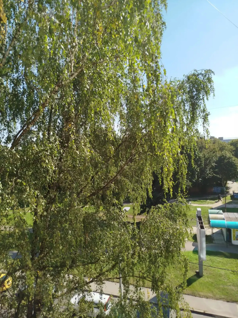 Квартира Чистая и с хорошим ремонтом