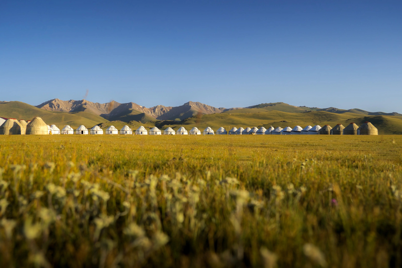Глэмпинг “AK-SAI TRAVEL” yurt camp at Son Kul lake