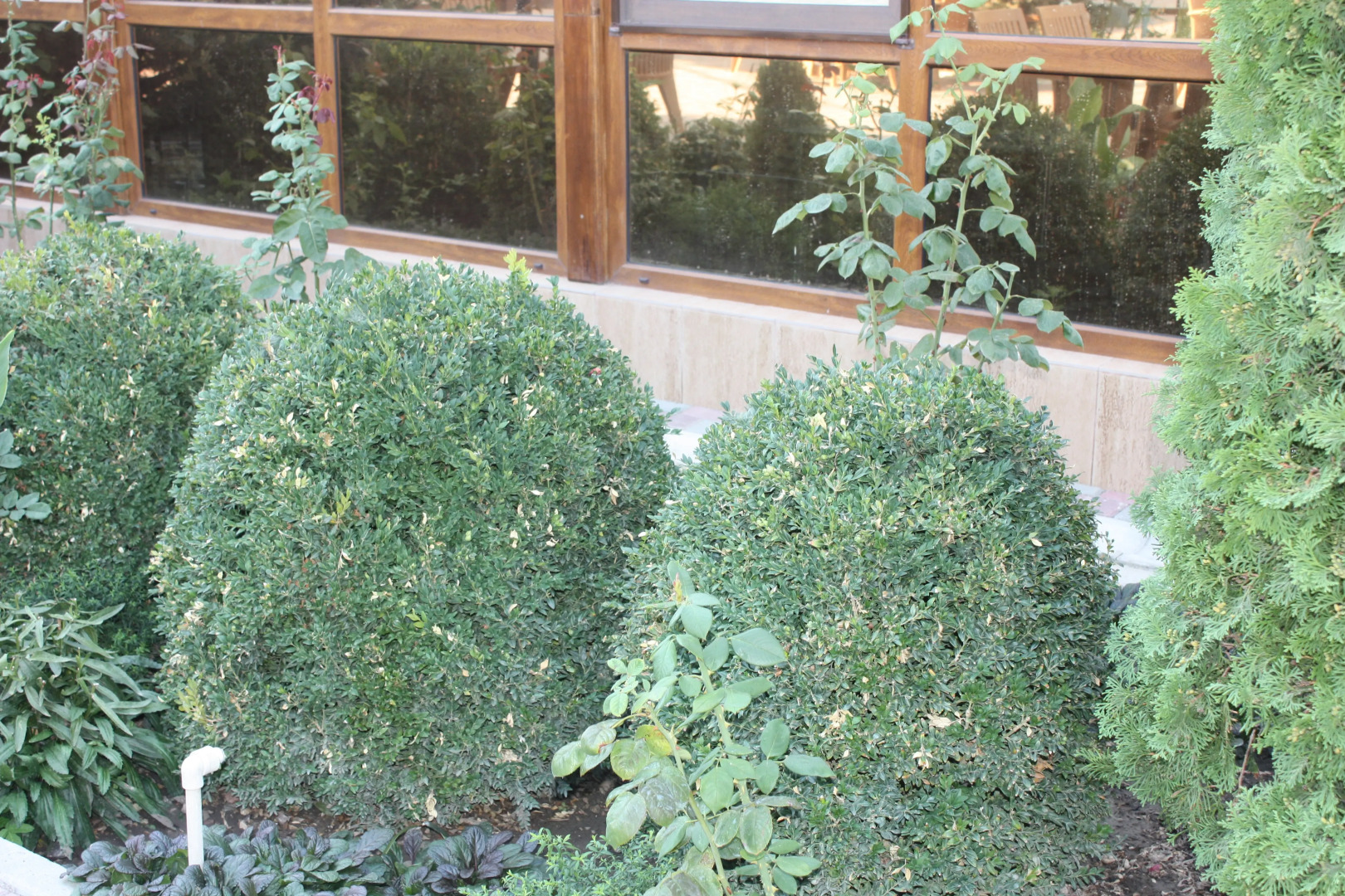 База отдыха Сейт-Неби